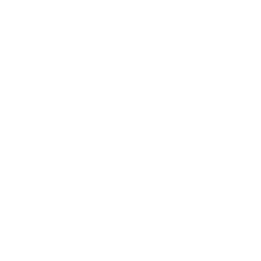 Inspector Icon
