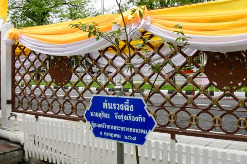 CAAT รับมอบกล้าไม้ ในโครงการคมนาคมร่วมใจปลูกต้นไม้เฉลิมพระเกียรติพระบาทสมเด็จพระเจ้าอยู่หัว เนื่องในโอกาสพระราชพิธีมหามงคลเฉลิมพระชนมพรรษา 6 รอบ 28 กรกฎาคม 2567