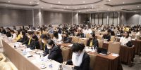 IMG 7984
