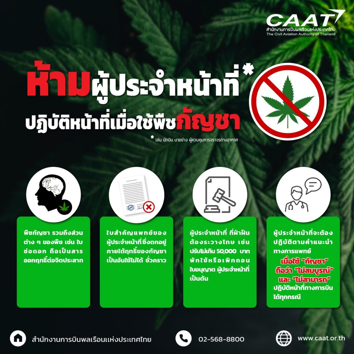 ห้ามผู้ประจำหน้าที่ปฏิบัติหน้าที่เมื่อใช้พืชกัญชา