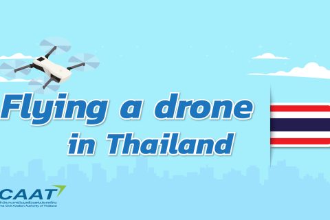 Remotely Piloted Aircraft (RPA) Regulation