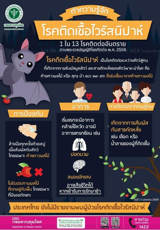 ทำความรู้จักโรคติดเชื้อไวรัสนิปาห์
