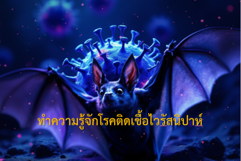 ทำความรู้จักโรคติดเชื้อไวรัสนิปาห์