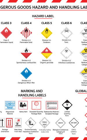 CAAT DG Labels and Marks Revise